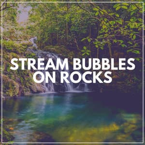 Stream Bubbles on Rocks - Water Spa
