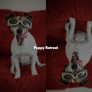 Puppy Retreat - Sunday Brunch Music