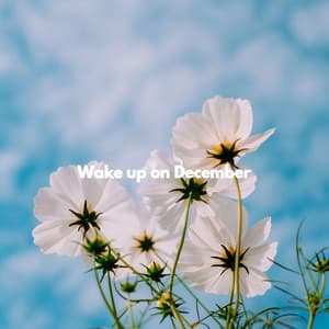 Wake up on December - Lounge Chillout