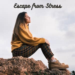 Escape from Stress: Melodies of Tranquility, Your Peaceful Sanctuary - Anti Stress Music Zone