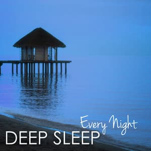 Deep Sleep Every Night - Binaural Beats Music for a Deeper Sleep Experience - Moonlight Dreaming