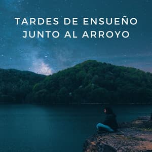 Tardes De Ensueño Junto Al Arroyo - Flujo de agua definitivo