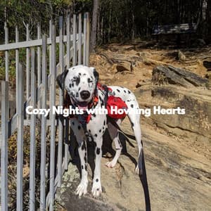 Cozy Nights with Howling Hearts - Dog Therapy Music