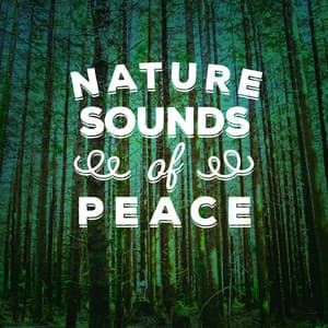 Nature Sounds of Peace - The Ultimate Sounds of Nature