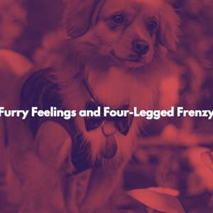 Furry Feelings and Four-Legged Frenzy - Cafe Restaurant Music