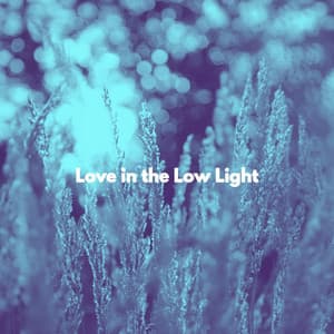Love in the Low Light - Easy Listening Background Music