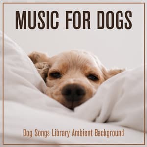 Music For Dogs: Dog Songs Library Ambient Background - Dog Music Dreams