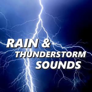 Rain & Thunderstorm Sounds - Thunderstorm Sounds