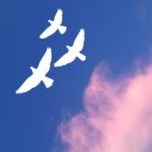 Music for Jazzy Favorites - Suave Trumpet, Soprano Sax, Tenor Sax and Guitar - Happy Coffee Shop Music