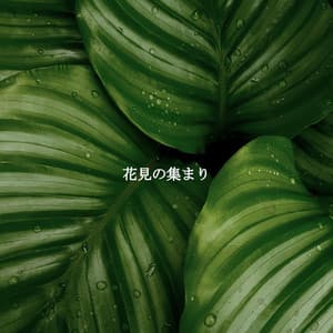 花見の集まり - Smooth Dinner Jazz Group