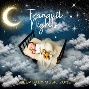 Tranquil Nights: Baby Sleep Lullabies - Sleep Baby Music Zone