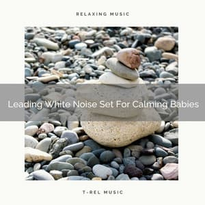 Leading White Noise Set For Calming Babies - Calming Brown Restful Sounds