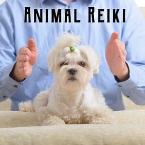 Animal Reiki: Background Music to Soothe, Heal, Relax and Energize - Pet Music Academy