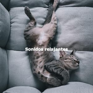 Sonidos relajantes - Soft Jazz & Coffee