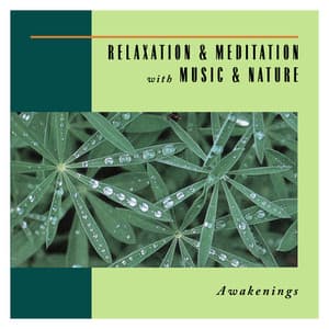 Awakenings - Relaxation & Mediation With Music & Nature