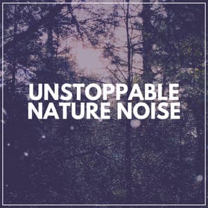 Unstoppable Nature Noise - Naturalis