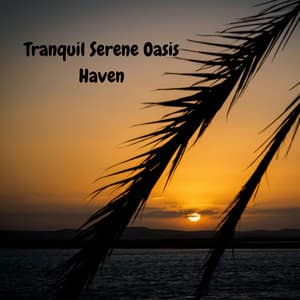 Tranquil Serene Oasis Haven - Música Relajante