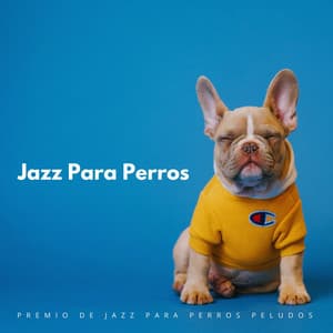 Premio De Jazz Para Perros Peludos - Acústico Jazz Chillax