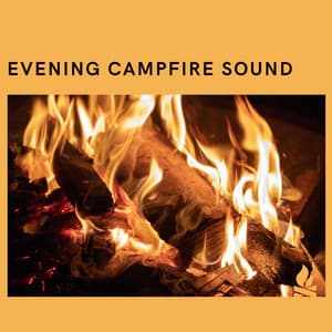 Evening Campfire Sound - Campfire & Fireplace