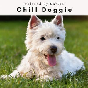 1 0 1 Chill Doggie - Dogs Music Therapy