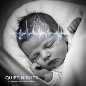 Quiet Nights with Natural Delta Waves - Scott Dee