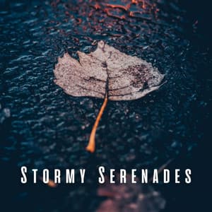 Stormy Serenades Piano Melodies for Chill Relaxation - Tranquility Piano