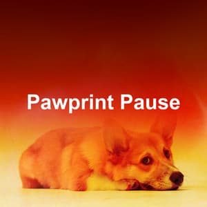 Pawprint Pause - Dog Music Sessions