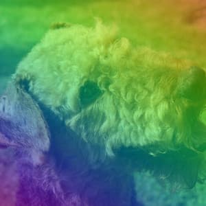 Music for Unwinding Pups - Calming for Dogs