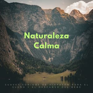 Naturaleza Calma: Suaves Sonidos De Diapasón Para El Sueño Y El Descanso Del Bebé - Grillos del bosque