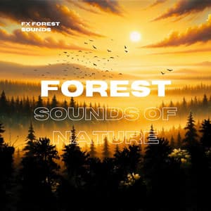 Forest - Sounds of Nature - FX Forest Sounds