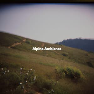 Alpine Ambience - Coffeeshop Smooth Jazz Playlist Classics