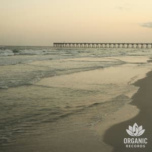 Sea of Still - Sea of Waves