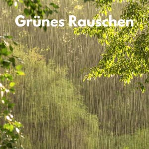 Grünes Rauschen - Schleife Weißes Rauschen