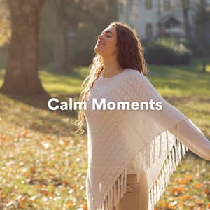 Calm Moments - Peaceful Music