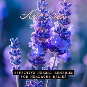 Effective Herbal Remedies for Headache Relief - Anti Stress & Unwind