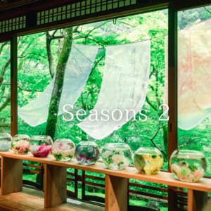 Seasons 2 - Healing Piano JAPAN