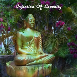 Injection Of Serenity - Meditación Interna