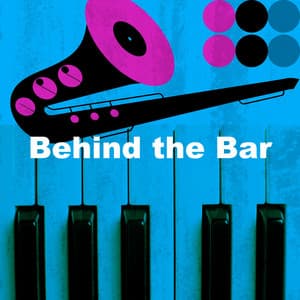 Behind the Bar - Jazz Lounge Bar Ambiance