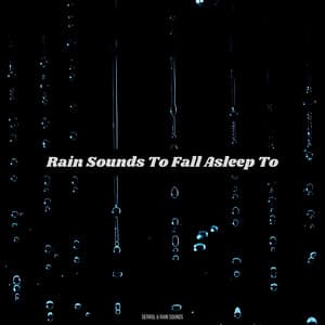 Rain Sounds To Fall Asleep To - Derrol