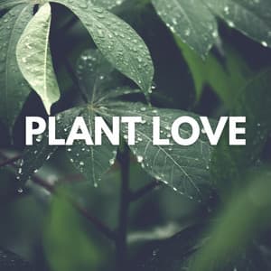 Plant Love - Plant Love
