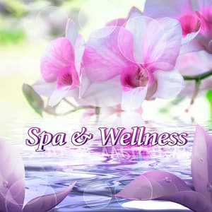 Spa & Wellness - Zen Music Playlist for Beauty and Massage Center, Luxury Spa Hotel, Cosmetic Salon and Skin Clinic Lounge - Beautiful Spa Collection