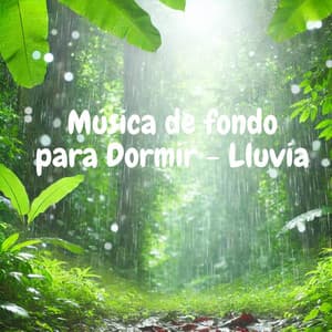 Música de fondo para Dormir - Lluvia - Fabricantes De Lluvia