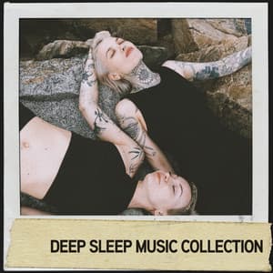 Deep Sleep Music Collection: Heavenly Rain for a Peaceful Sleep - Música Relajante Para Leer