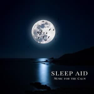 Sleep Aid: Music for the Calm Night, Relaxing Sounds to Sleep, Lovely Atmospheres - Deep Sleep Relaxation Universe