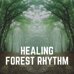 Healing Forest Rhythm - Sounds of Nature Noise