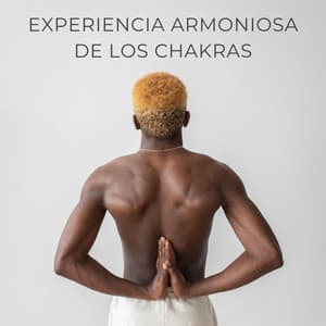 Experiencia Armoniosa De Los Chakras - Reiki y Tai Chi Armonía