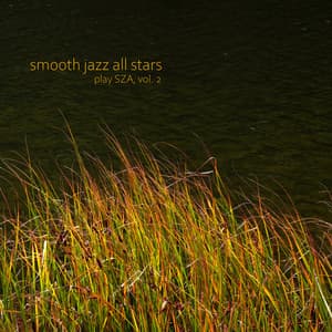 Smooth Jazz All Stars Play SZA, Vol. 2 - Smooth Jazz All Stars