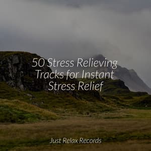 50 Stress Relieving Tracks for Instant Stress Relief - Yoga Namaste