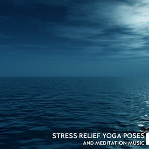 Stress Relief Yoga Poses and Meditation Music to Fall Asleep: Self-Awareness, Sleep is the Best Meditation, Calm Sleeping Music - Relax Yoga Music Meditation