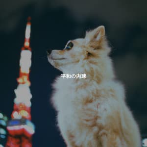 平和の肉球 - Hamilton Cafe Music